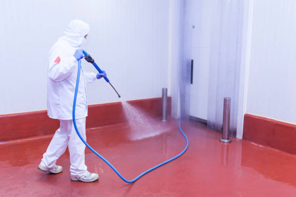  Discovery Harbour, HI Pressure Washing Pros